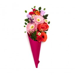 Occasions Sample 8