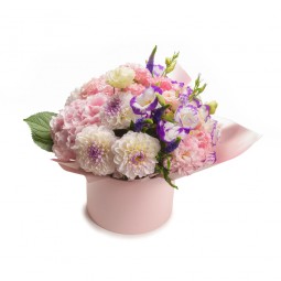 Occasions Sample 5