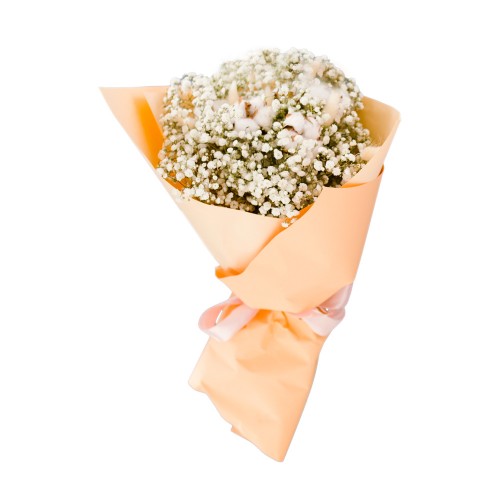 Occasions Sample 6
