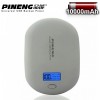 (Sample) PINENG PN-938 10000mAh Power Bank (Grey)