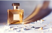 I am an Article Title Three