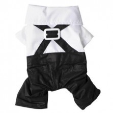 Pet Suit with Bow Tie