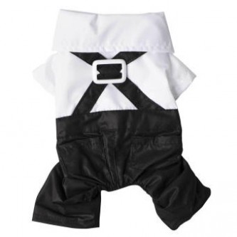 Pet Suit with Bow Tie