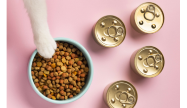 I am an Article Title Three