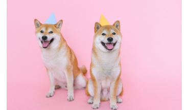 I am an Article Title Five