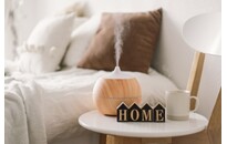 I am an Article Title Four