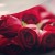 Medium - 24 Roses (+ RM 60.00)