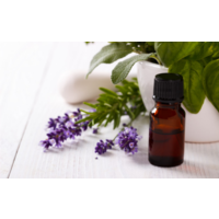 I am an Article Title Four