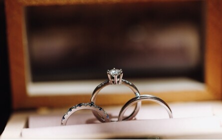 I am an Article Title Four