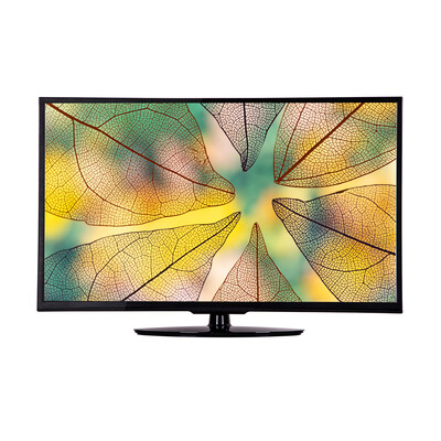 TV Audio Sample Four